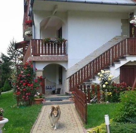 Domek Pod Maciejowa Rabka-Zdrój Exterior foto