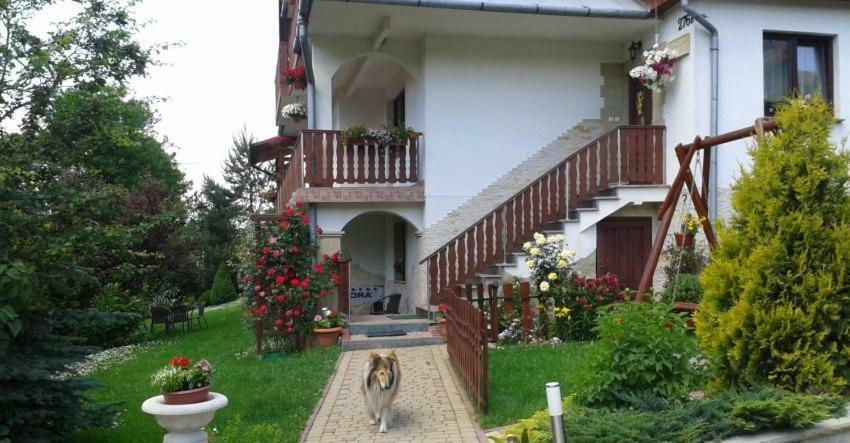 Domek Pod Maciejowa Rabka-Zdrój Exterior foto